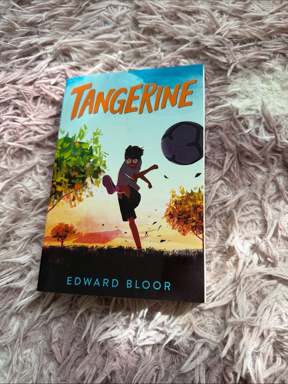 Tangerine by Edward Bloor — Vibrant Orange & Teal Cover